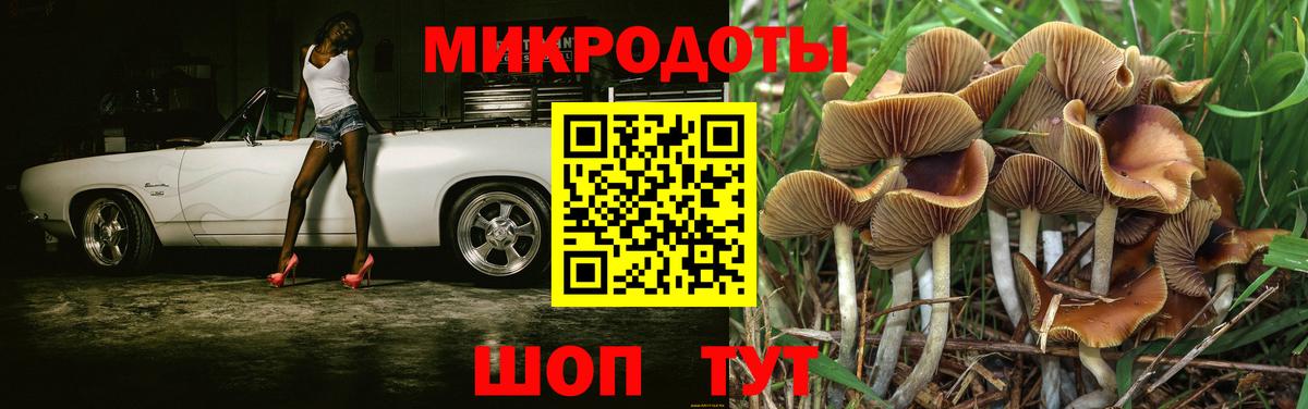 Галлюциногенные грибы прущие грибы Красноармейск
