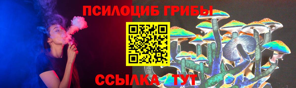 Красноармейск  Галлюциногенные грибы Magic Shrooms  Вход с VPN 